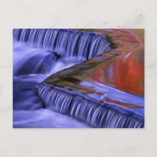 Carte Postale Bond Falls; reflets de feuilles colorées à l'autom