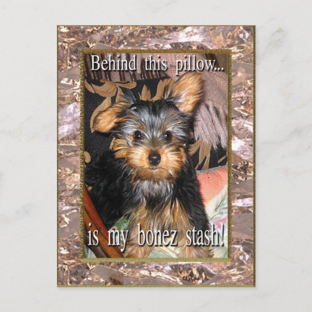Carte Postale Bone Stash Yorkie (Devant)