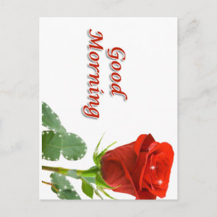 Carte Postale bonjour