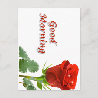 Carte Postale bonjour