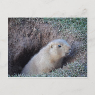 Carte Postale Bonjour 