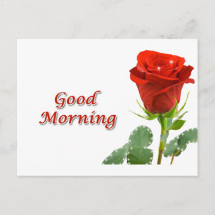 Carte Postale bonjour