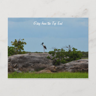 Carte Postale Bonjour