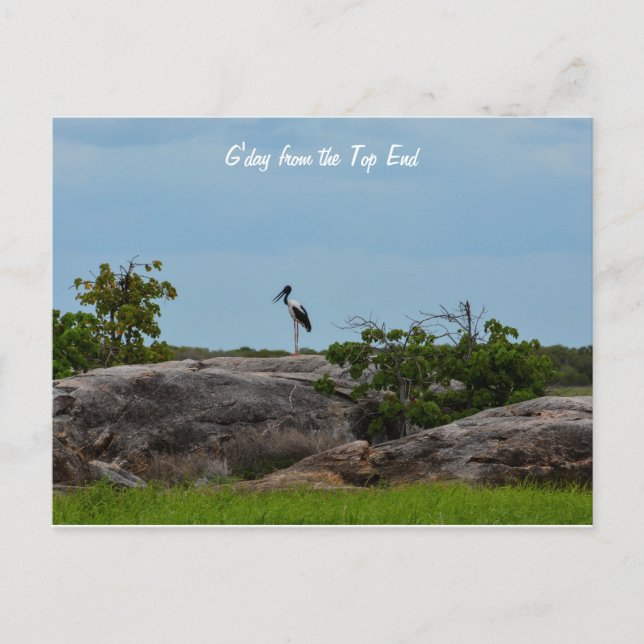 Carte Postale Bonjour (Devant)