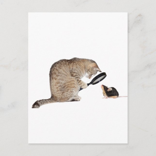 Carte Postale Bonjour ! ! (Devant)