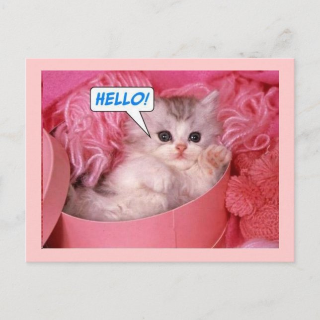 Carte Postale Bonjour (Devant)