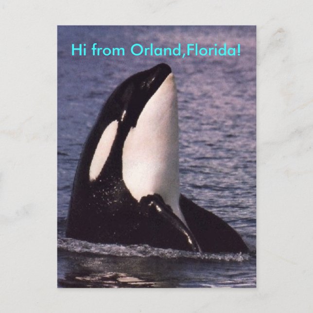 Carte Postale Bonjour  (Devant)