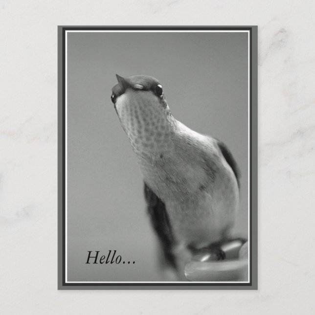 Carte Postale Bonjour...Avec Texte (Devant)