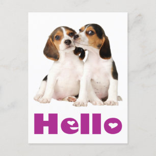 Carte Postale Bonjour Beagle Chien Chien Chien Chien de Voeux Ca