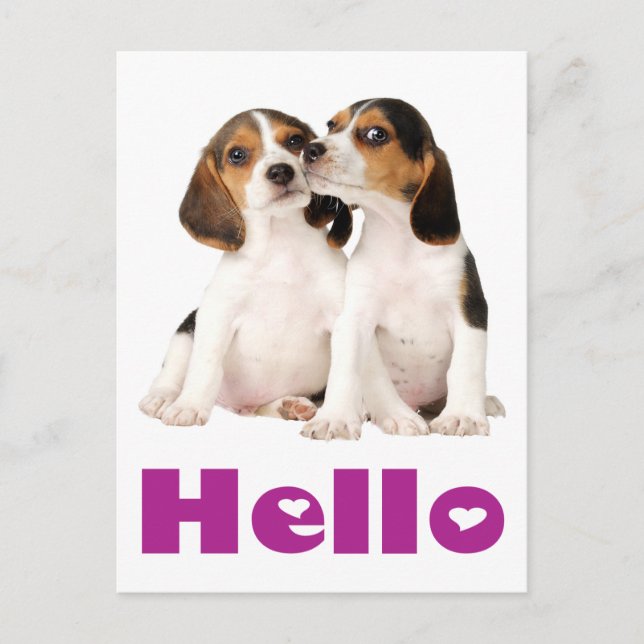 Carte Postale Bonjour Beagle Chien Chien Chien Chien de Voeux Ca (Devant)