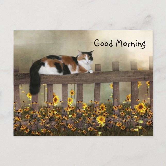 Carte Postale Bonjour calico kitty (Devant)