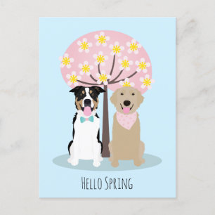 Carte Postale Bonjour Chiens De Printemps Par Cherry Blossom Tre