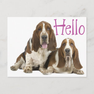 Carte Postale Bonjour chiot Basset Hound Violet
