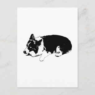 Carte Postale Bonjour croquant, corgi calme