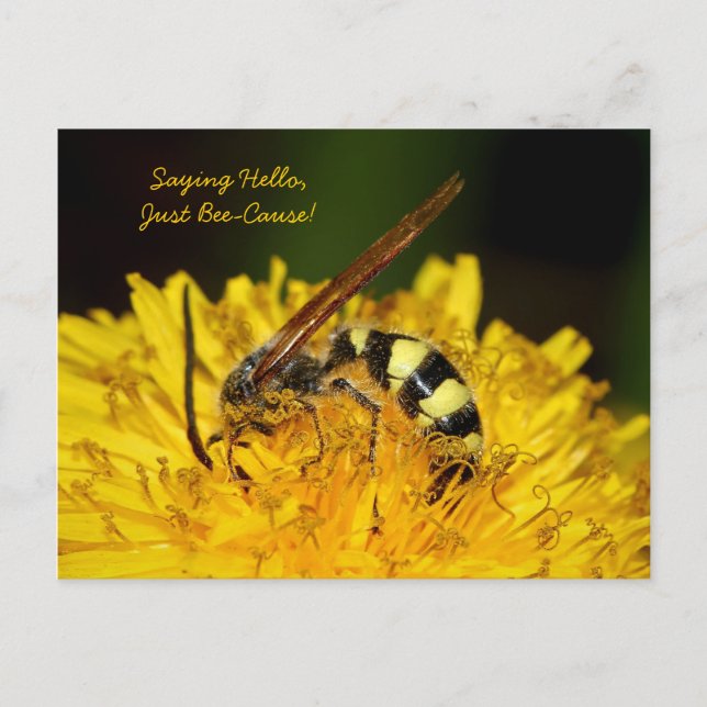 Carte Postale Bonjour D'Abeille Sur Fleur Dandelion Jaune (Devant)