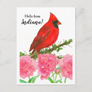 Carte Postale Bonjour de Indiana Red Male Cardinal Bird
