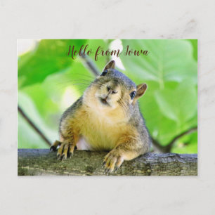 Carte Postale Bonjour de Iowa Postcard