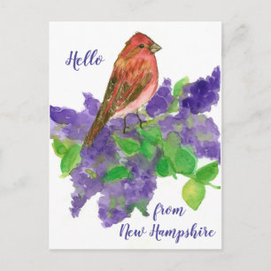 Carte Postale Bonjour de New Hampshire Purple Finch