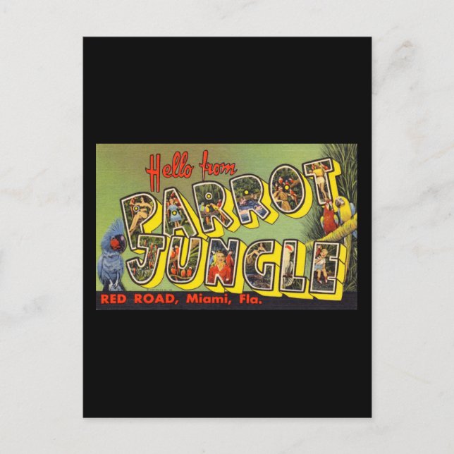 Carte Postale Bonjour de Parrot Jungle (Devant)