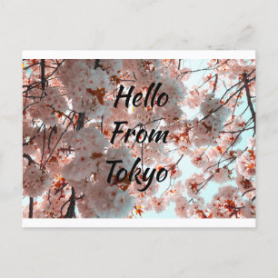 Carte Postale Bonjour De Tokyo belle fleur Sakura