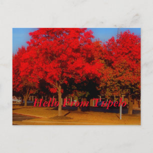 Carte Postale Bonjour De Tupelo