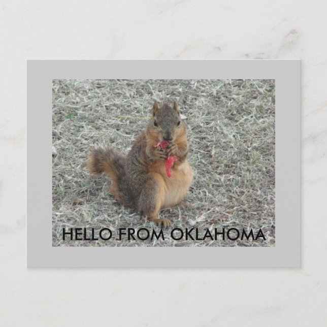 CARTE POSTALE BONJOUR D'OKLAHOMA (Devant)