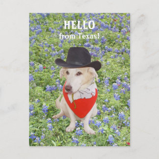 Carte Postale Bonjour du Texas !