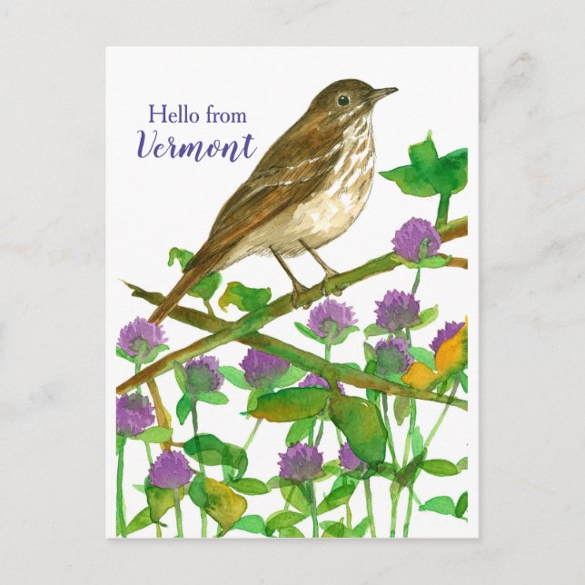Carte Postale Bonjour du Vermont Hermit Thrush Purple Clover (Devant)