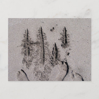 Carte Postale Bonjour ! Écrit en Floride sable avec empreintes
