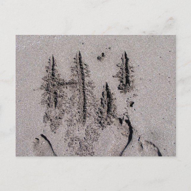 Carte Postale Bonjour ! Écrit en Floride sable avec empreintes (Devant)