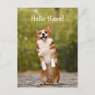 Invitations Faire Part Cartes Drole D Humour Bonjour Zazzle Fr