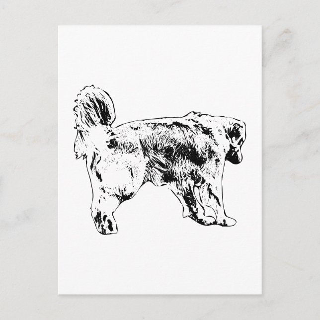 Carte Postale Bonjour, Golden Retriever (Devant)