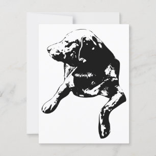 Carte Postale Bonjour, Head-Turn Lab