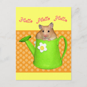 Carte Postale Bonjour hello hamster