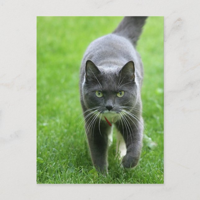 Carte Postale Bonjour, je m'appelle Miki (Devant)