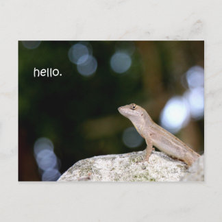 Carte Postale Bonjour Lizard