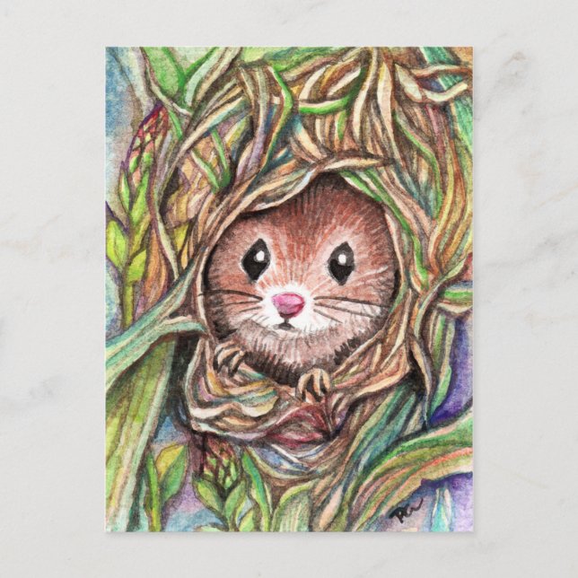 Carte Postale Bonjour Petit Ami (Devant)