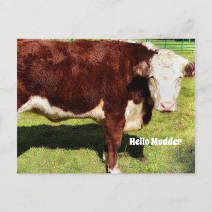 Carte Postale Bonjour PostCard