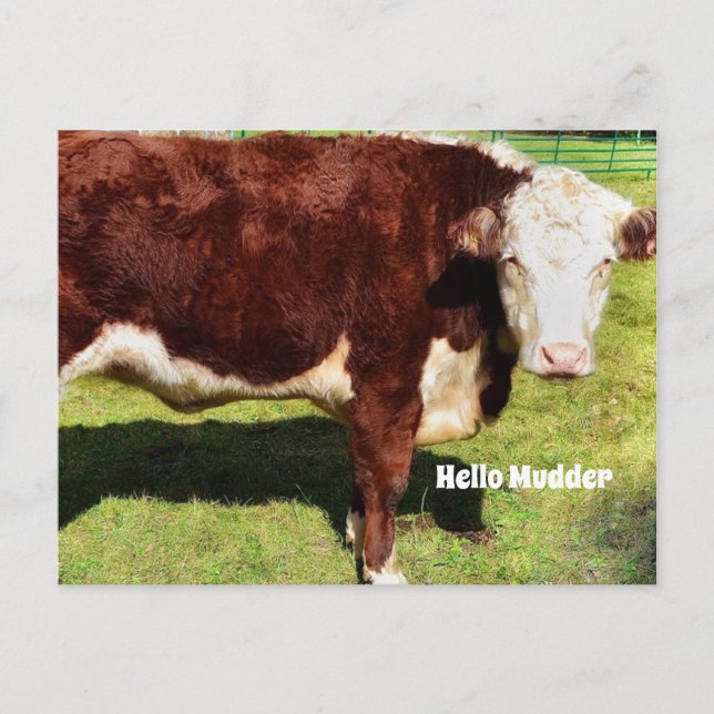 Carte Postale Bonjour PostCard (Devant)