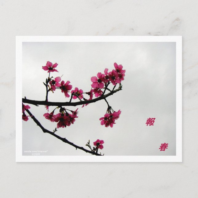 Carte Postale Bonjour Printemps/Fleurs de cerisiers Kanji (Devant)