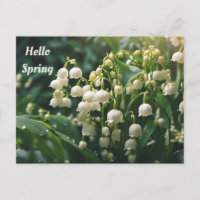 Bonjour Printemps Fleurs de Muguet