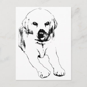 Carte Postale Bonjour rapide d'un Lab