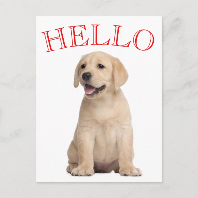 Carte Postale Bonjour Yellow Labrador Retriever Chien Chien Chie (Devant)