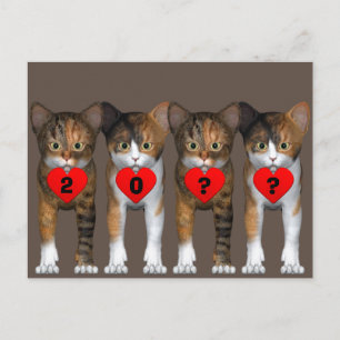 Carte Postale Bonne année Calico Kitten