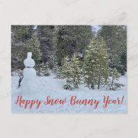 Bonne année de lapin de neige !