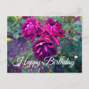 Carte Postale Bonne Anniversaire Bourgogne Rose Iceberg #3-2 Car