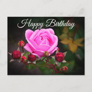 Carte Postale Bonne Anniversaire Rose du Château de l’évêque #1 