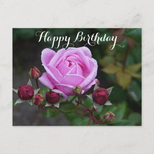 Carte Postale Bonne Anniversaire Rose du Château de l’évêque #1 