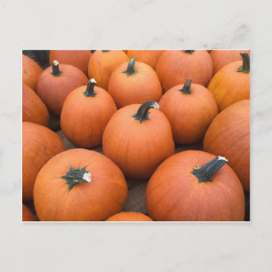 Carte Postale Bonne Carving