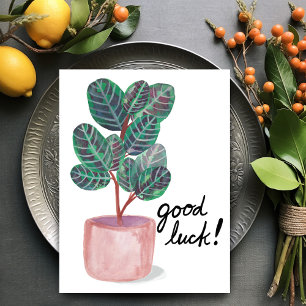 Carte Postale Bonne chance Calathea Prière Plante Aquarelle